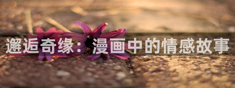 吉安腐漫
