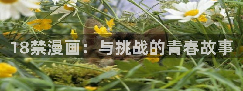 腐漫免费在线阅读