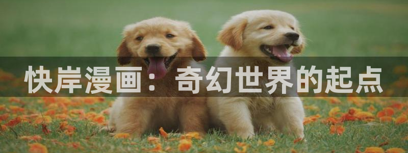 腐漫画软件有哪些