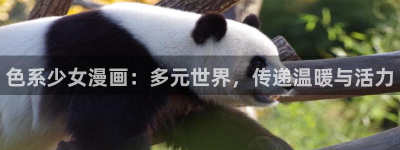腐漫有什么