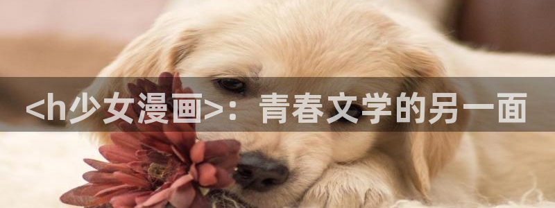 腐漫网入口
