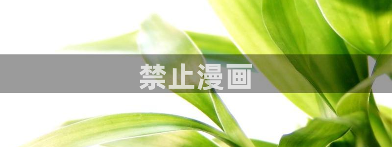 动漫腐漫