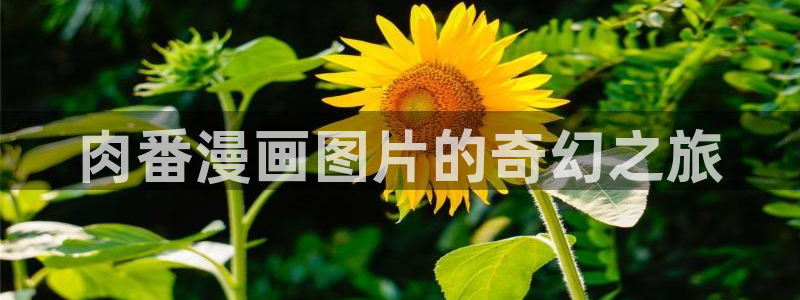 腐漫动漫