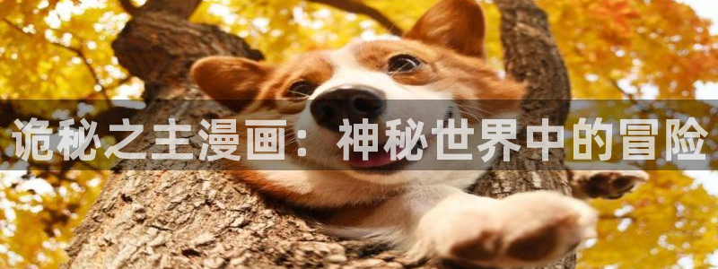 双男腐漫画网