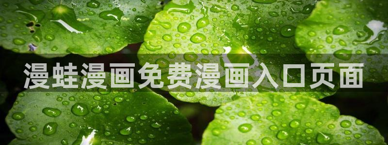 腐漫画旧版