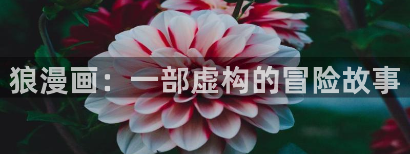 腐漫韩漫推荐