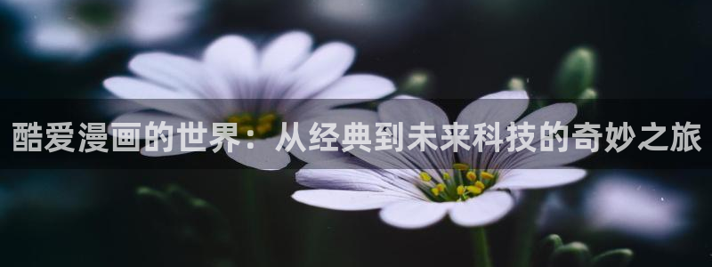 腐漫剧