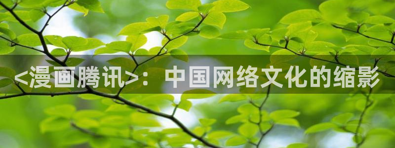 双男主腐漫画：<漫画腾讯>：中国网络文化的缩影