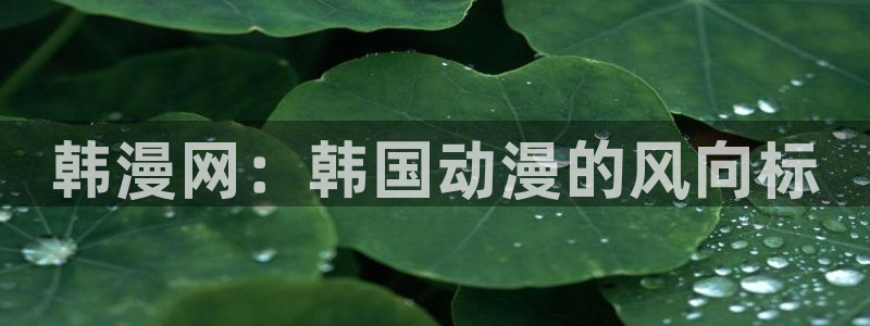 腐漫网页：韩漫网：韩国动漫的风向标