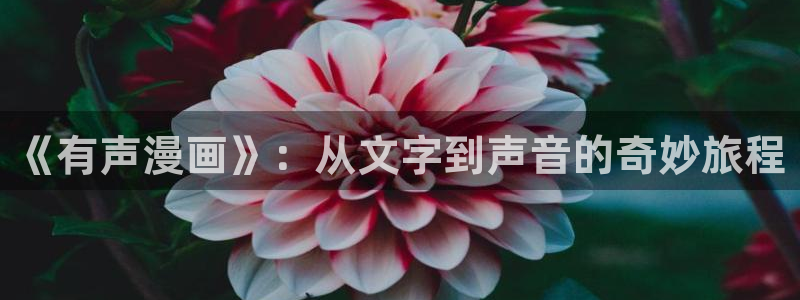 腐漫漫画app