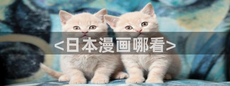 腐漫画网在线