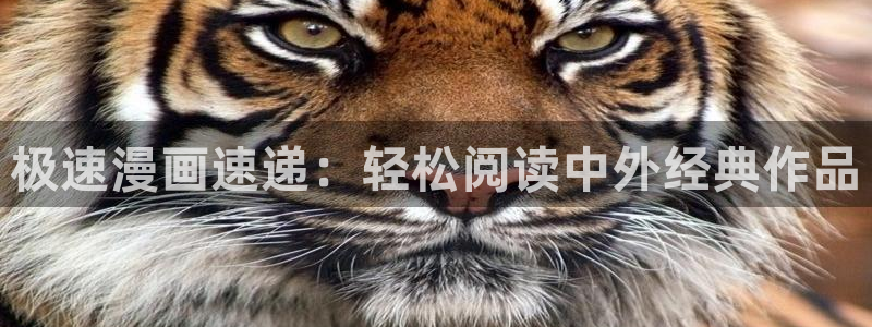 腐漫双男主