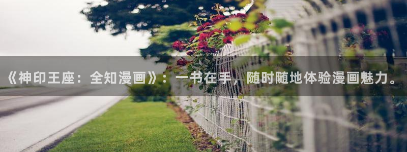 纯肉腐漫