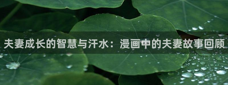 腐漫画首页：夫妻成长的智慧与汗水：漫画中的夫妻故事回顾