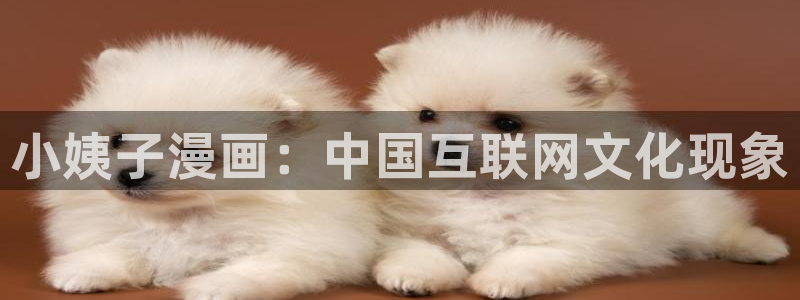看腐漫画免费的app：小姨子漫画：中国互联网文化现象