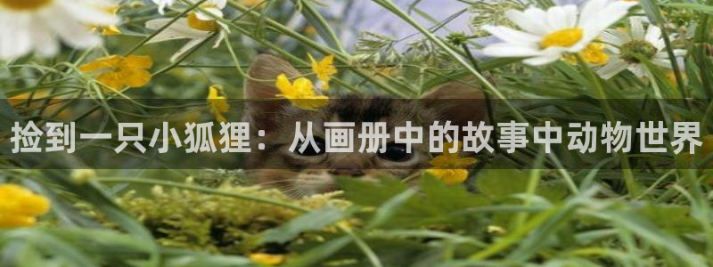 腐漫画大全推荐：捡到一只小狐狸：从画册中的故事中动物世界