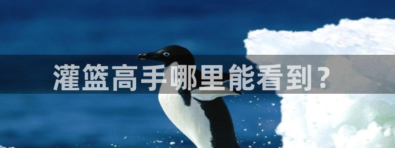 腐漫18禁：灌篮高手哪里能看到？