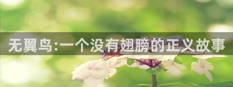 腐剧腐漫18：无翼鸟:一个没有翅膀的正义故事