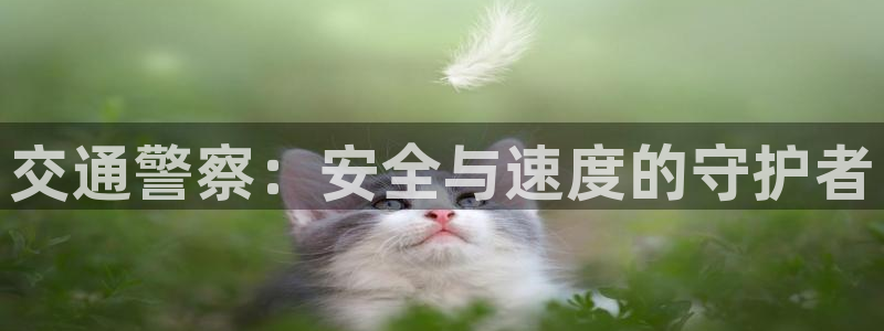 日腐漫画网：交通警察：安全与速度的守护者