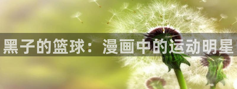 腐漫网盘：黑子的篮球：漫画中的运动明星